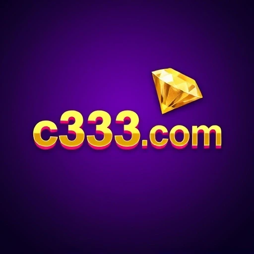 c333.com